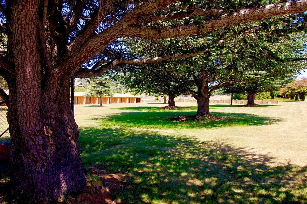 Snowy Mountains Resort And Function Centre Adaminaby Exteriör bild