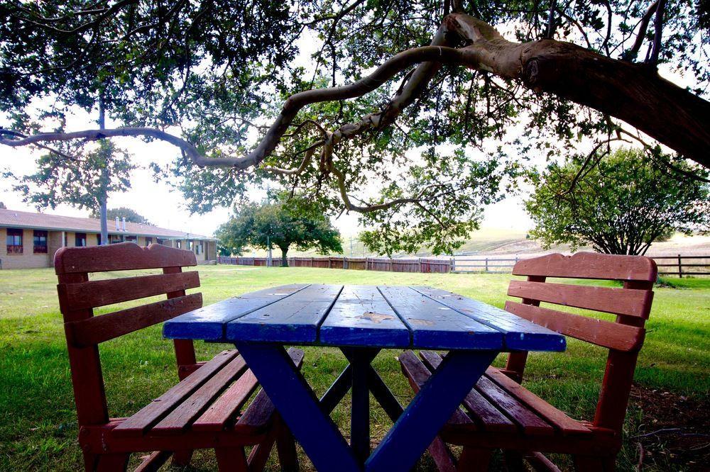 Snowy Mountains Resort And Function Centre Adaminaby Exteriör bild