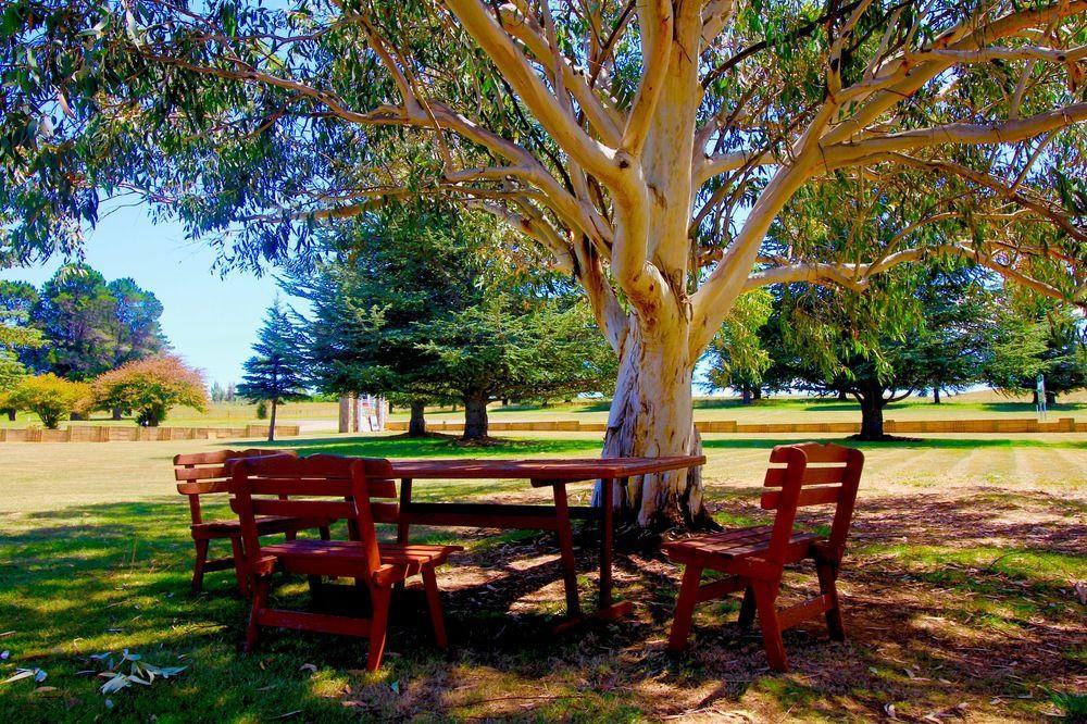 Snowy Mountains Resort And Function Centre Adaminaby Exteriör bild
